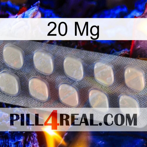 20 Mg 08.jpg